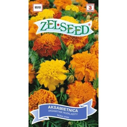 Aksamietnica Petite - zmes farieb