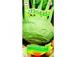 [0391-7] Kaleráb Gigant