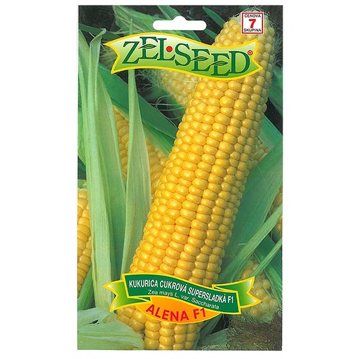 [4642] Kukurica supersladká ALENA F1