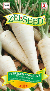 [6704] Petržlen koreňový Alba - poloskorý