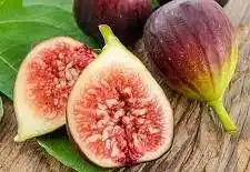 [27816] Ficus carica Brown Turkey