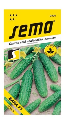 Uhorka Blanka F1