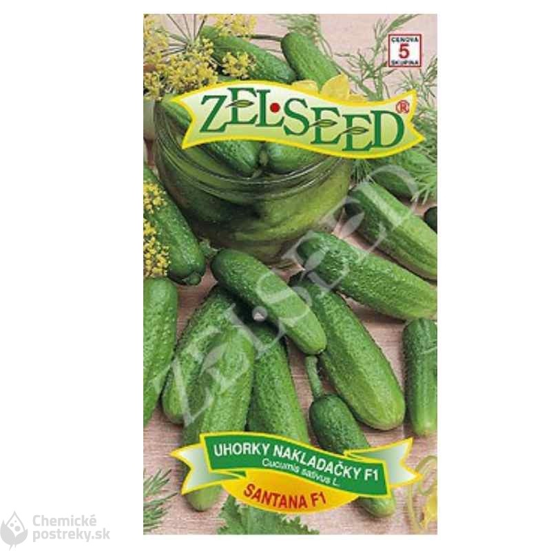Uhorky SANTANA