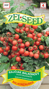 Rajčiak balkónový