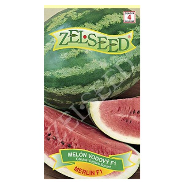 Z Melon Merlin