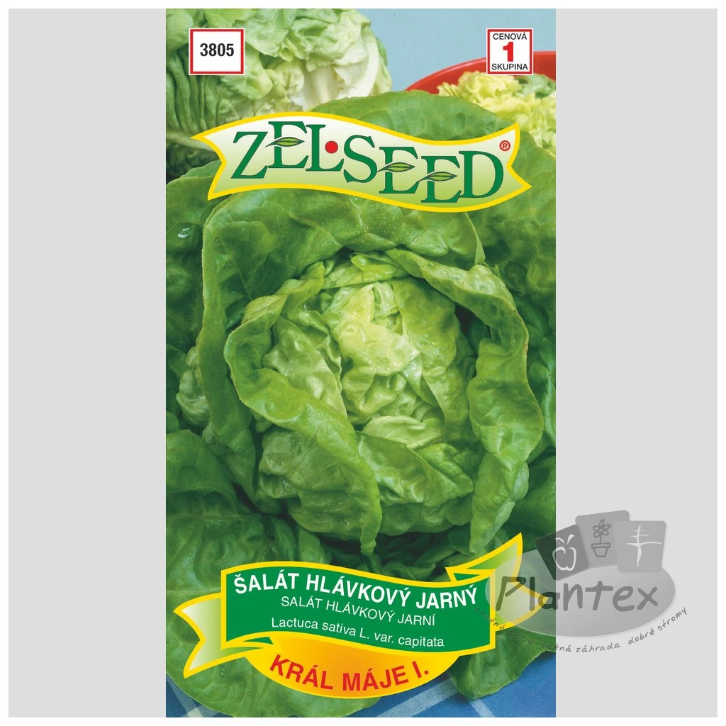 Z Šalát Kráľ mája