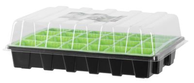 Miniparenisko LJ2011