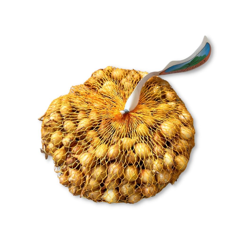 Cibuľa sadzačka - Stuttgard 30dkg