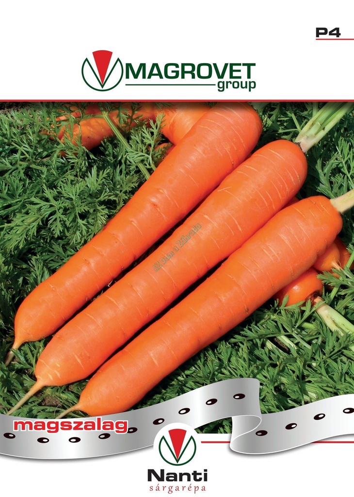 Mrkva Nanti - skorá