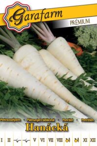 Petržlen Hanácký koreňový