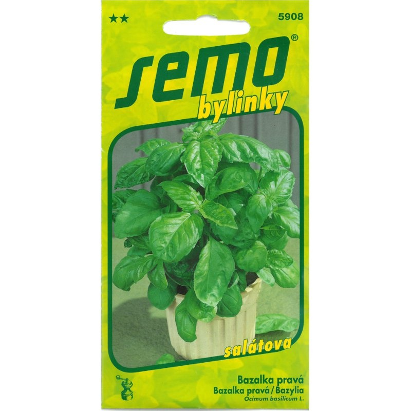 Bazalka pravá Genovese - veľkolistá