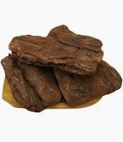 GARDEN Boom Píniová kôra 60 - 100 mm 65 l