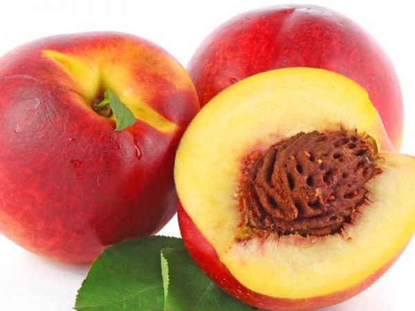 Nektarinka (Prunus nucipersica) "Fantasia"