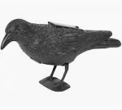 Plašič vtákov Havran čierny, solárny, zvuk