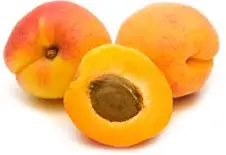 [28122] Marhuľa obyčajná (Prunus Armeniaca)