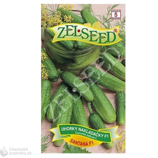 [2327] Uhorky SANTANA