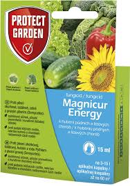 [0013] Energy Magnicur 15ml
