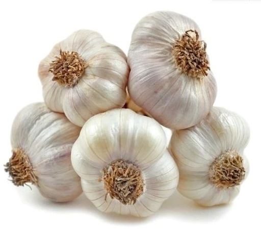 [0037] Cesnak MAKOI 5 hlav.